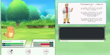 Pokegotchi